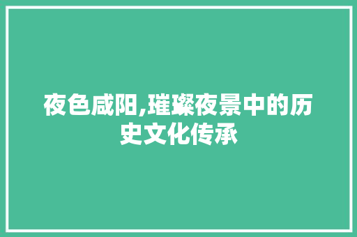 夜色咸阳,璀璨夜景中的历史文化传承