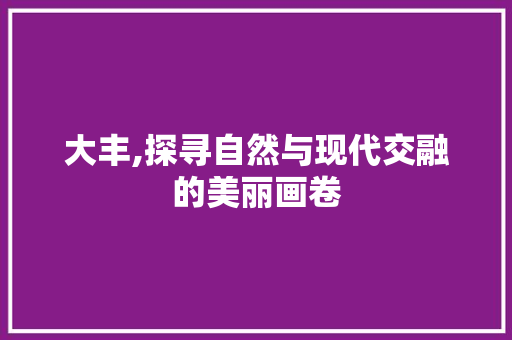 大丰,探寻自然与现代交融的美丽画卷