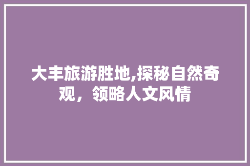 大丰旅游胜地,探秘自然奇观，领略人文风情