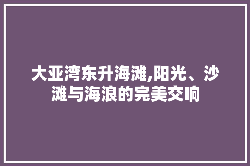 大亚湾东升海滩,阳光、沙滩与海浪的完美交响