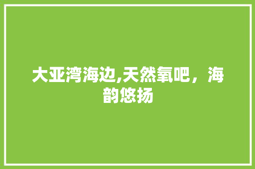 大亚湾海边,天然氧吧，海韵悠扬