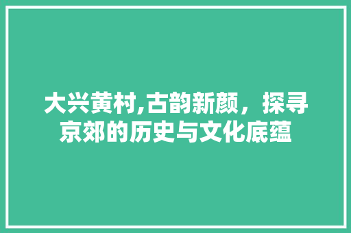 大兴黄村,古韵新颜，探寻京郊的历史与文化底蕴