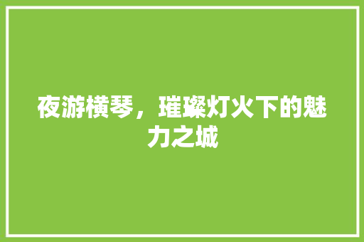 夜游横琴，璀璨灯火下的魅力之城