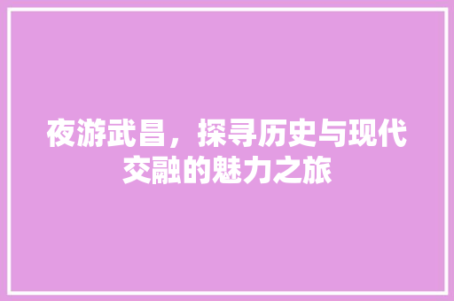 夜游武昌，探寻历史与现代交融的魅力之旅