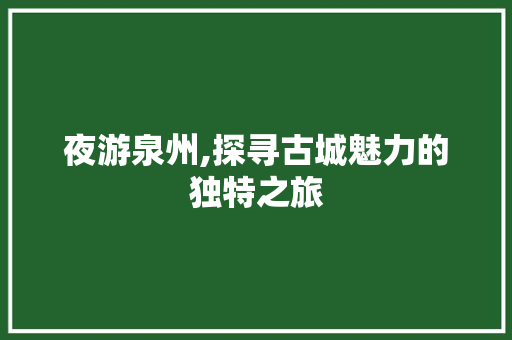 夜游泉州,探寻古城魅力的独特之旅