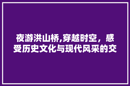 夜游洪山桥,穿越时空，感受历史文化与现代风采的交融