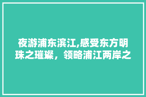 夜游浦东滨江,感受东方明珠之璀璨，领略浦江两岸之美