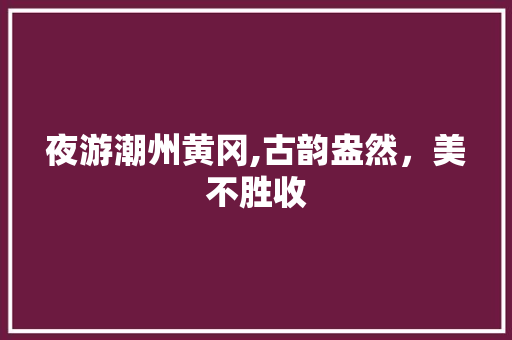 夜游潮州黄冈,古韵盎然，美不胜收