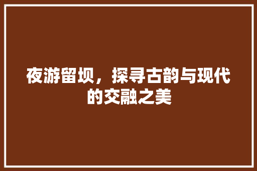 夜游留坝，探寻古韵与现代的交融之美