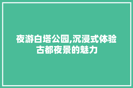 夜游白塔公园,沉浸式体验古都夜景的魅力