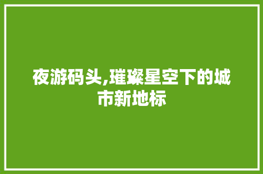 夜游码头,璀璨星空下的城市新地标