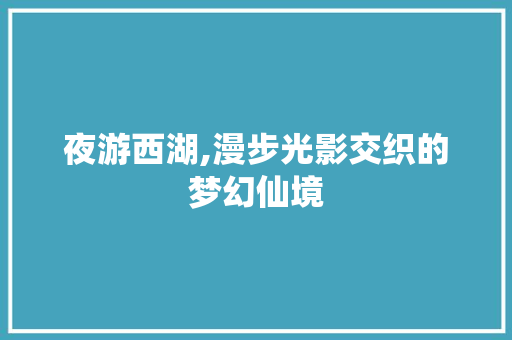 夜游西湖,漫步光影交织的梦幻仙境  第1张