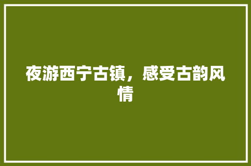 夜游西宁古镇，感受古韵风情