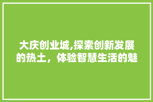 大庆创业城,探索创新发展的热土，体验智慧生活的魅力  第1张