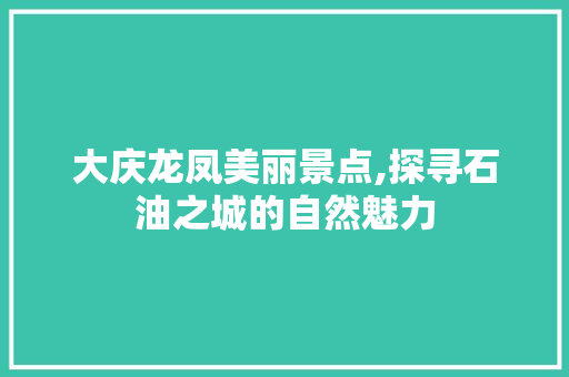 大庆龙凤美丽景点,探寻石油之城的自然魅力