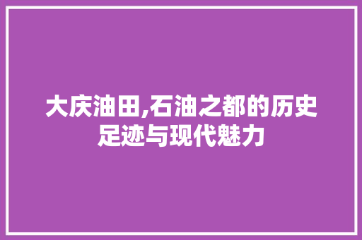 大庆油田,石油之都的历史足迹与现代魅力