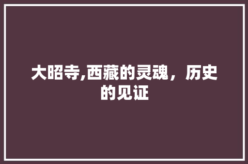 大昭寺,西藏的灵魂，历史的见证