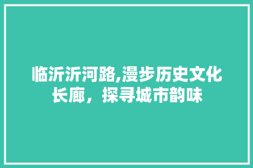 临沂沂河路,漫步历史文化长廊，探寻城市韵味