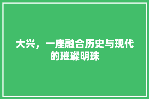 大兴，一座融合历史与现代的璀璨明珠