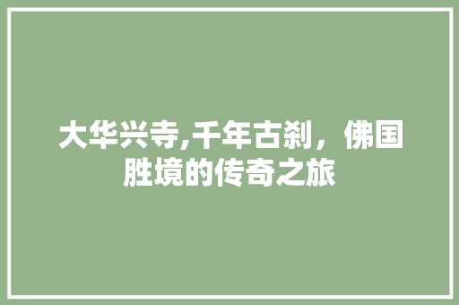 大华兴寺,千年古刹，佛国胜境的传奇之旅