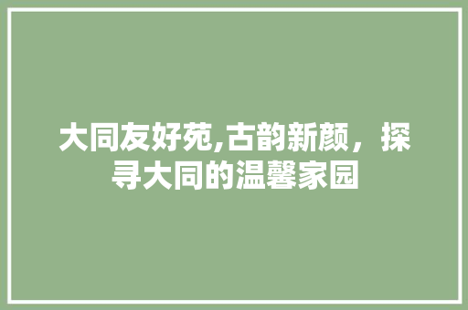 大同友好苑,古韵新颜，探寻大同的温馨家园