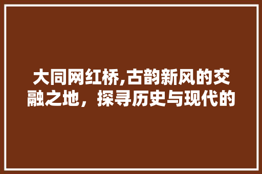 大同网红桥,古韵新风的交融之地，探寻历史与现代的奇妙邂逅  第1张