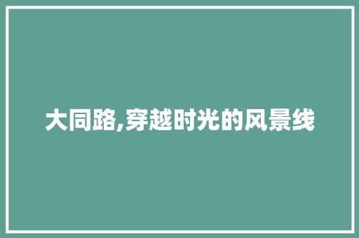 大同路,穿越时光的风景线