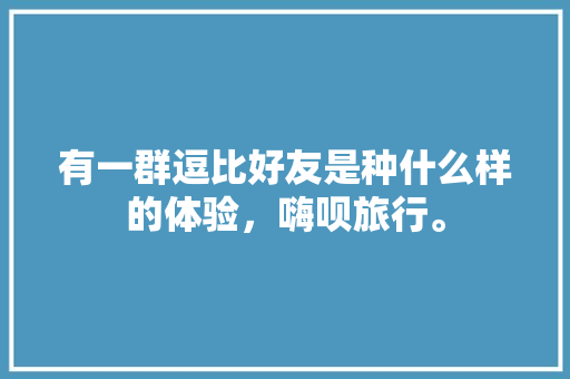 有一群逗比好友是种什么样的体验，嗨呗旅行。