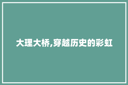 大理大桥,穿越历史的彩虹