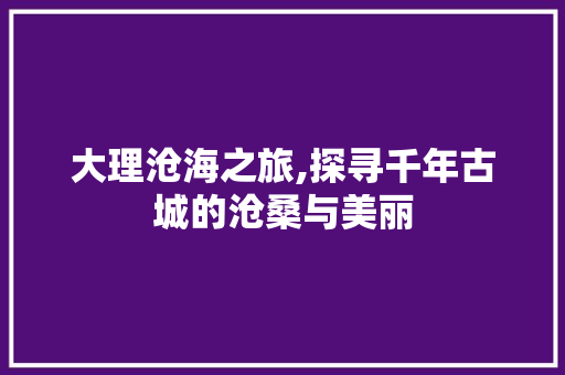 大理沧海之旅,探寻千年古城的沧桑与美丽