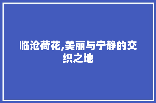 临沧荷花,美丽与宁静的交织之地  第1张