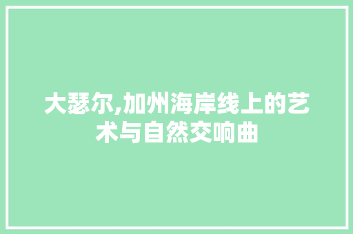 大瑟尔,加州海岸线上的艺术与自然交响曲