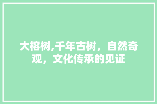 大榕树,千年古树，自然奇观，文化传承的见证