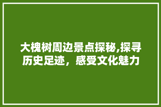 大槐树周边景点探秘,探寻历史足迹，感受文化魅力