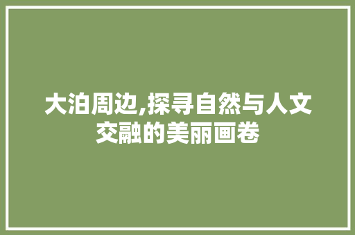 大泊周边,探寻自然与人文交融的美丽画卷