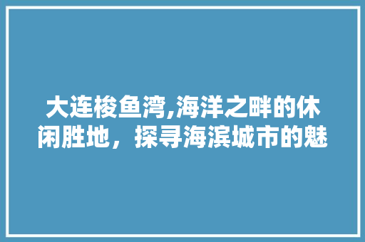 大连梭鱼湾,海洋之畔的休闲胜地，探寻海滨城市的魅力