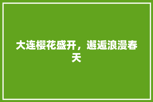 大连樱花盛开，邂逅浪漫春天  第1张