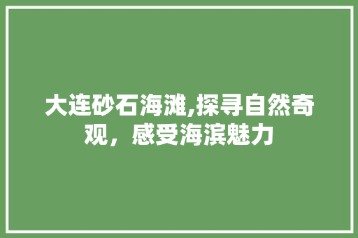 大连砂石海滩,探寻自然奇观，感受海滨魅力