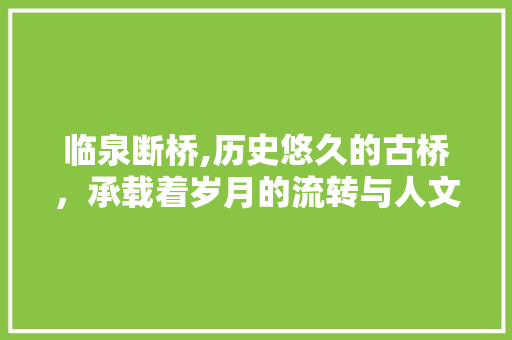 临泉断桥,历史悠久的古桥，承载着岁月的流转与人文情怀