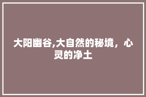 大阳幽谷,大自然的秘境，心灵的净土