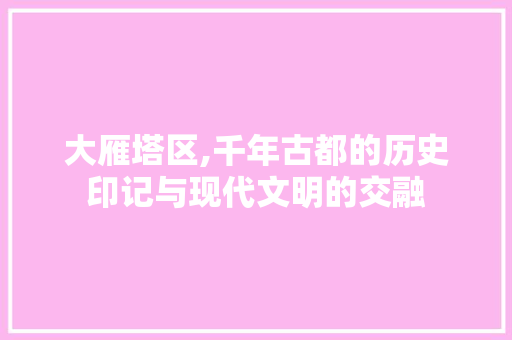 大雁塔区,千年古都的历史印记与现代文明的交融