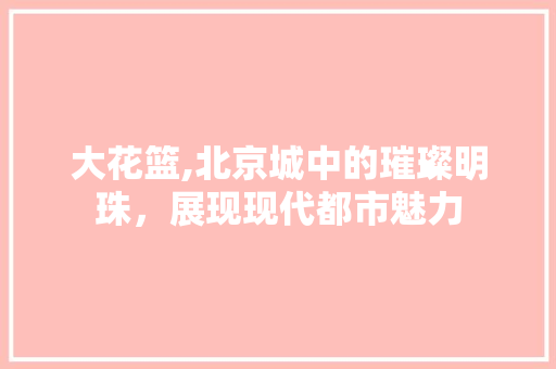 大花篮,北京城中的璀璨明珠，展现现代都市魅力