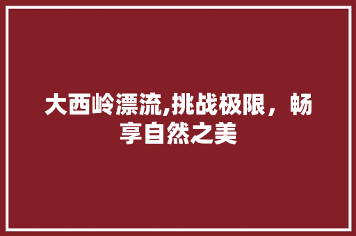 大西岭漂流,挑战极限，畅享自然之美