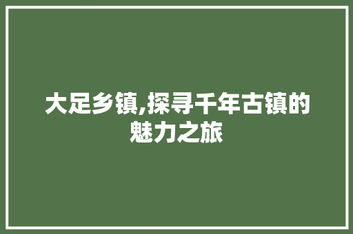 大足乡镇,探寻千年古镇的魅力之旅