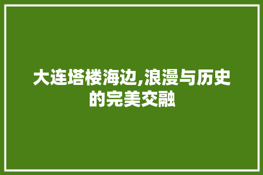 大连塔楼海边,浪漫与历史的完美交融  第1张