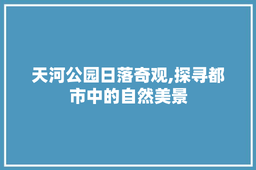 天河公园日落奇观,探寻都市中的自然美景