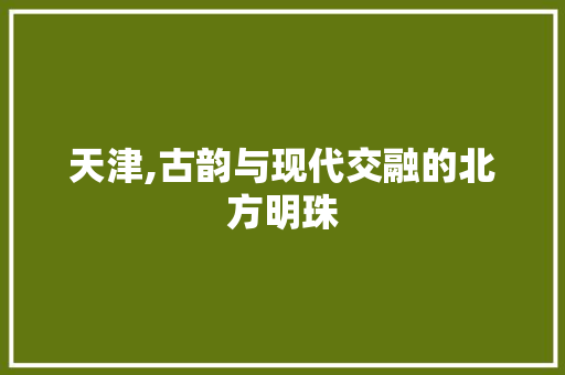 天津,古韵与现代交融的北方明珠