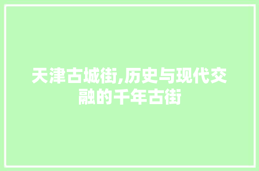 天津古城街,历史与现代交融的千年古街