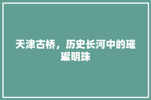 天津古桥，历史长河中的璀璨明珠