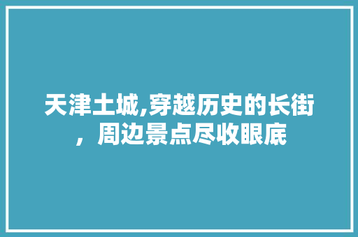 天津土城,穿越历史的长街，周边景点尽收眼底